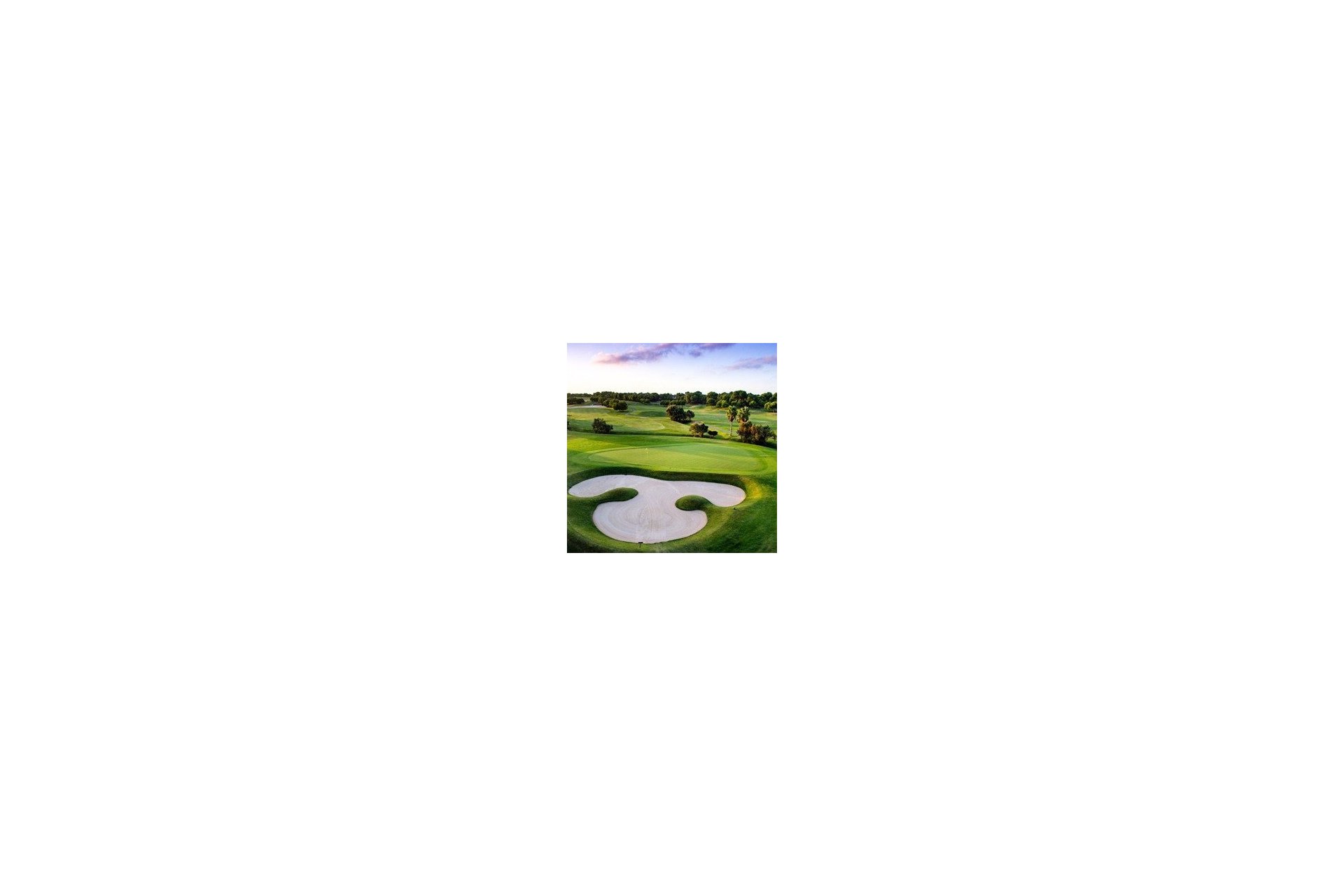 Rynek pierwotny - Villa - Pilar de la Horadada - Lo Romero Golf