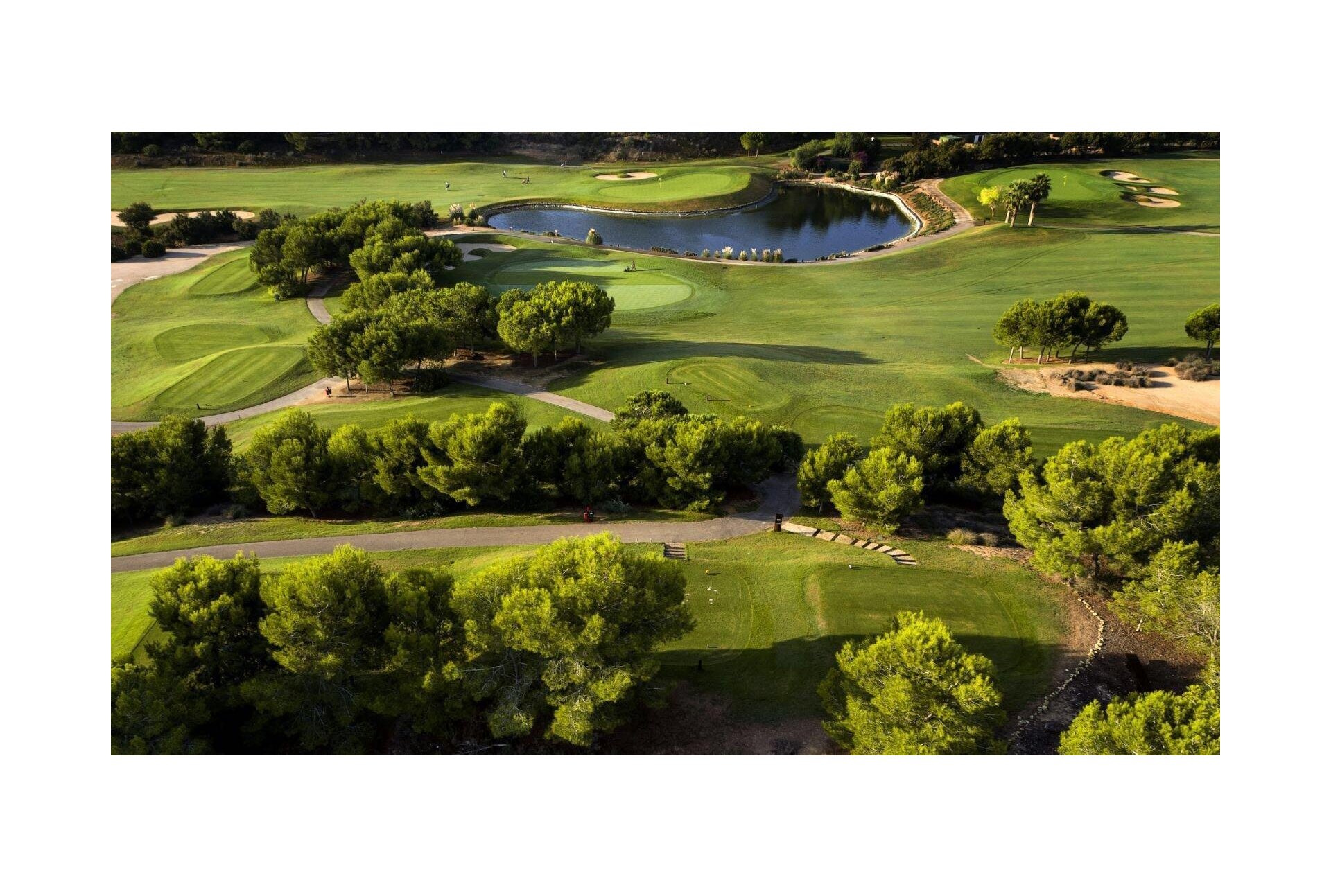 Rynek pierwotny - Villa - Pilar de la Horadada - Lo Romero Golf