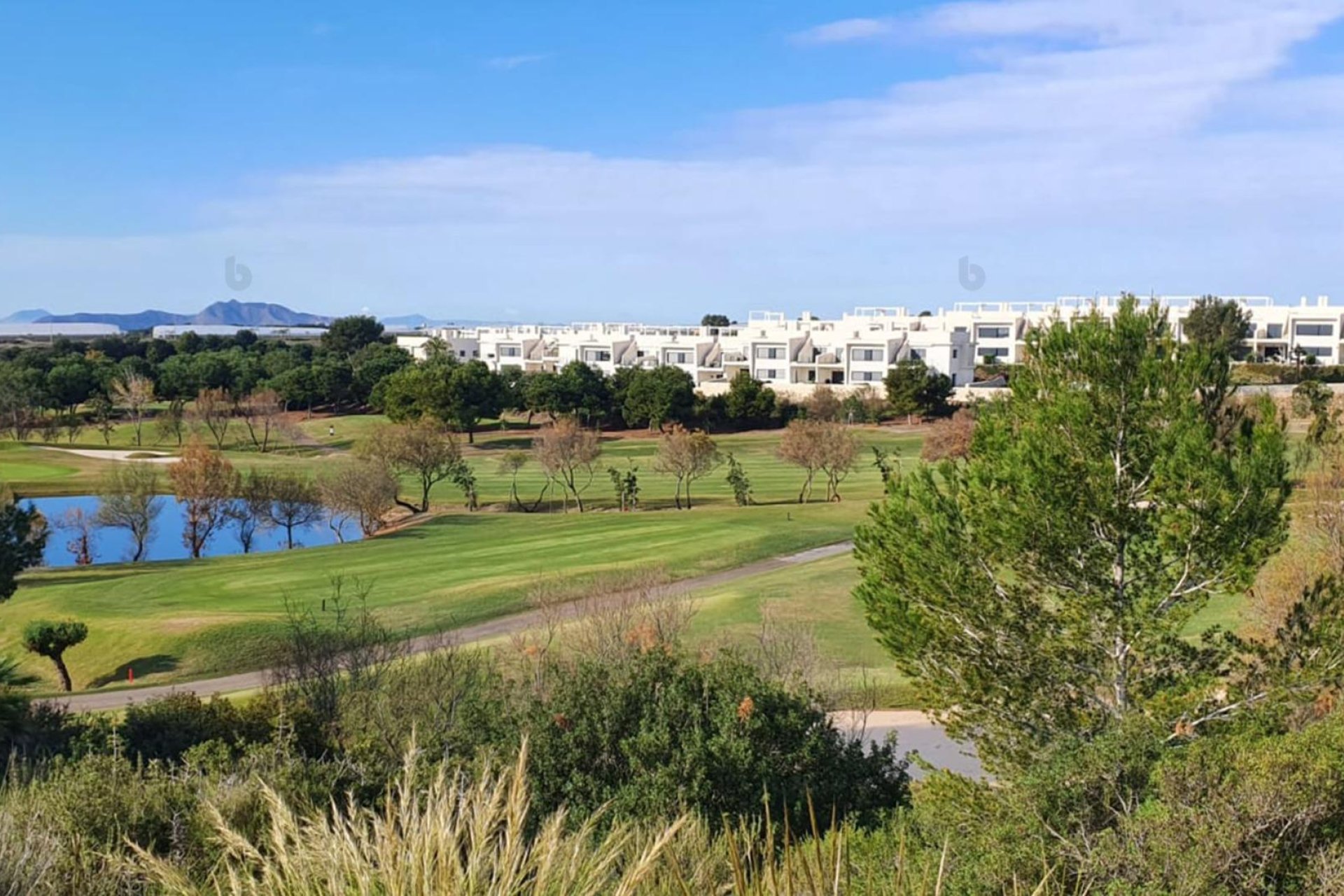 Rynek pierwotny - Villa - Pilar de la Horadada - Lo Romero Golf