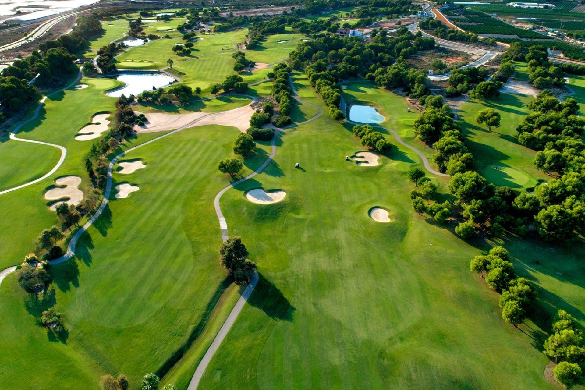 Rynek pierwotny - Villa - Pilar de la Horadada - Lo Romero Golf