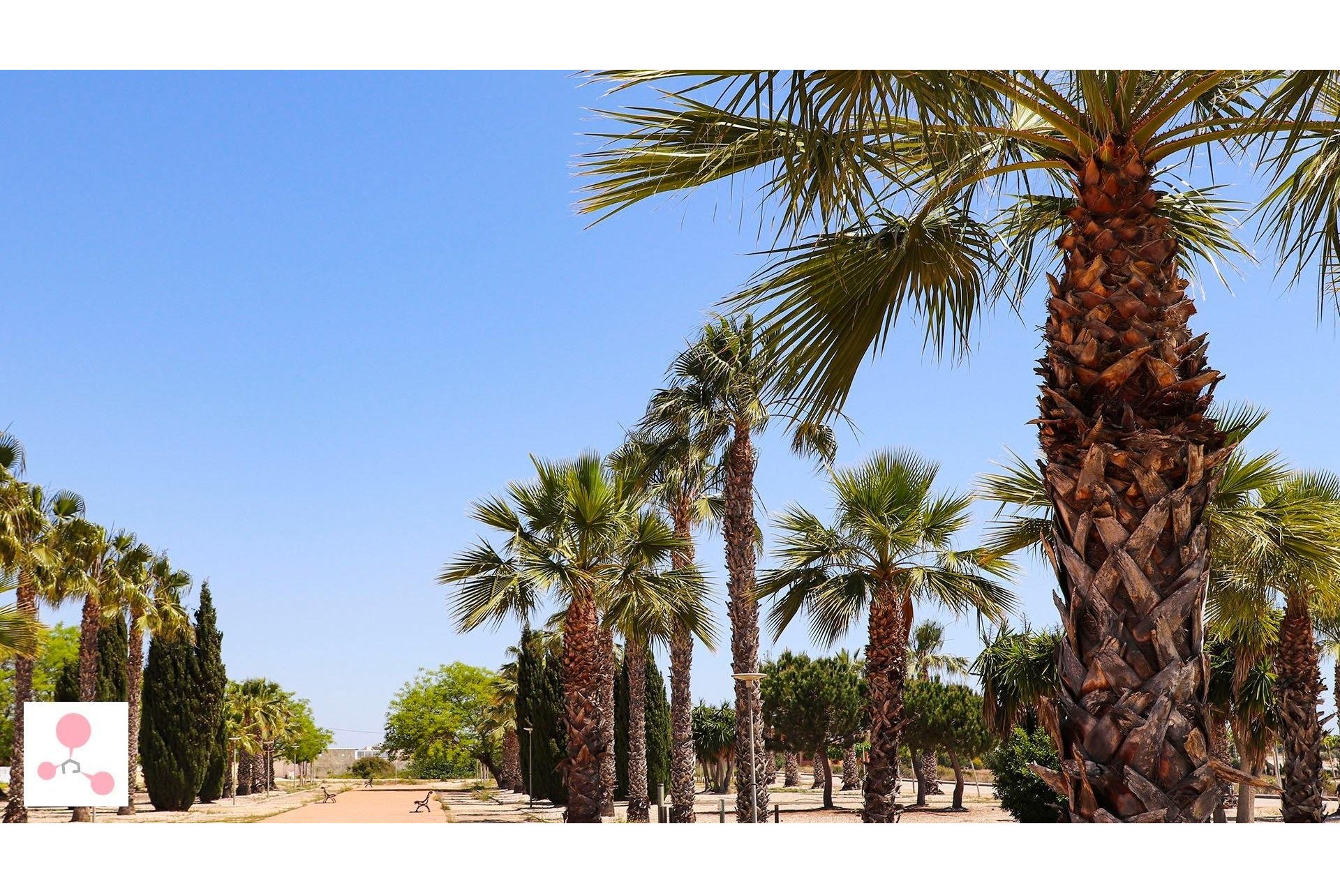 Rynek pierwotny - Villa - San Fulgencio - La Escuera