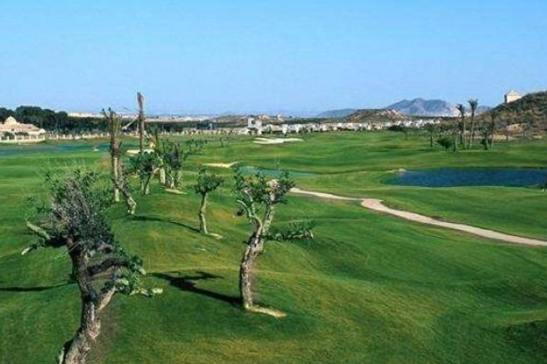 Rynek pierwotny - Villa - Sucina - Peraleja Golf