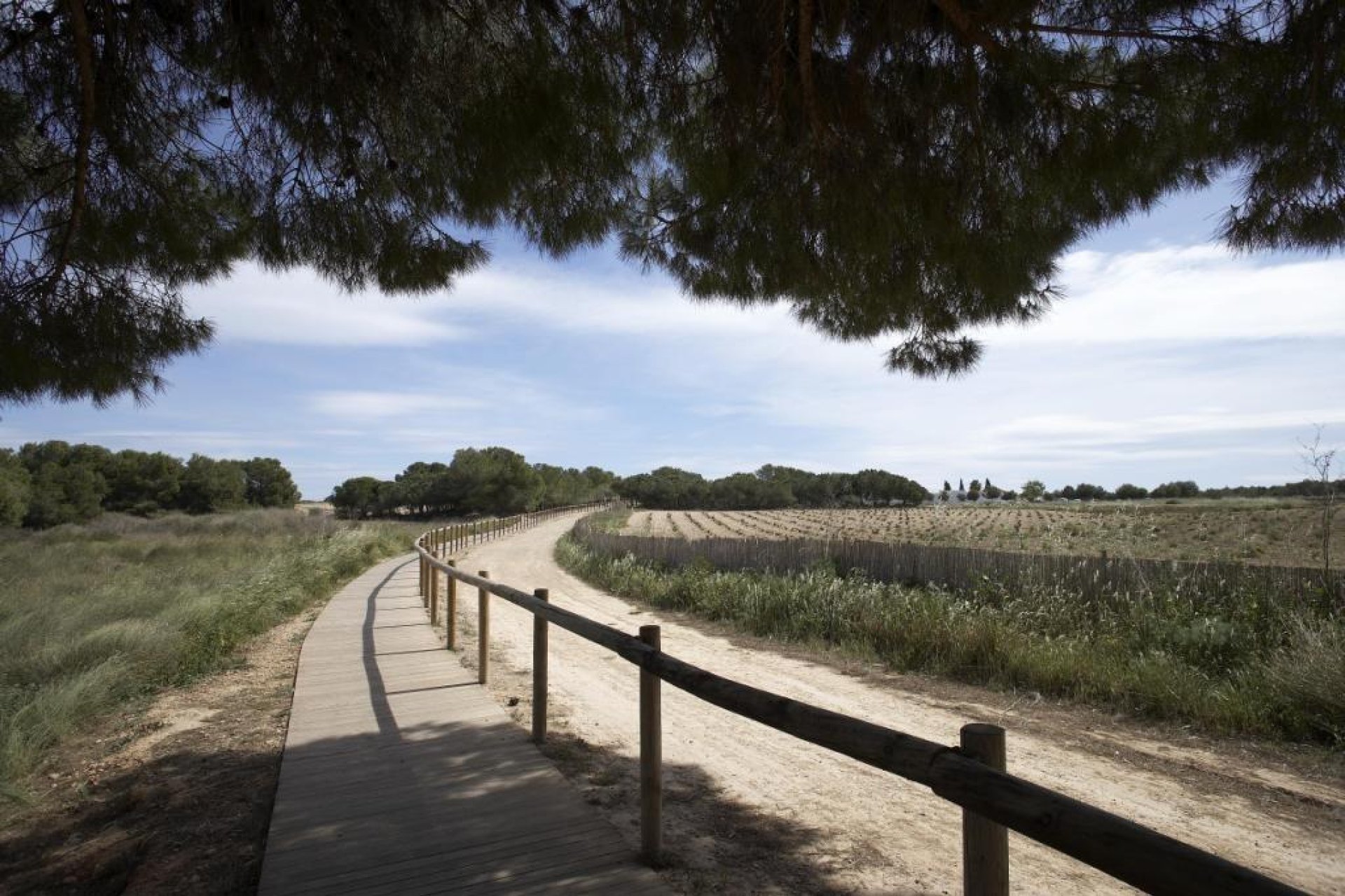 Rynek pierwotny - Villa - Torrevieja - Sector 25