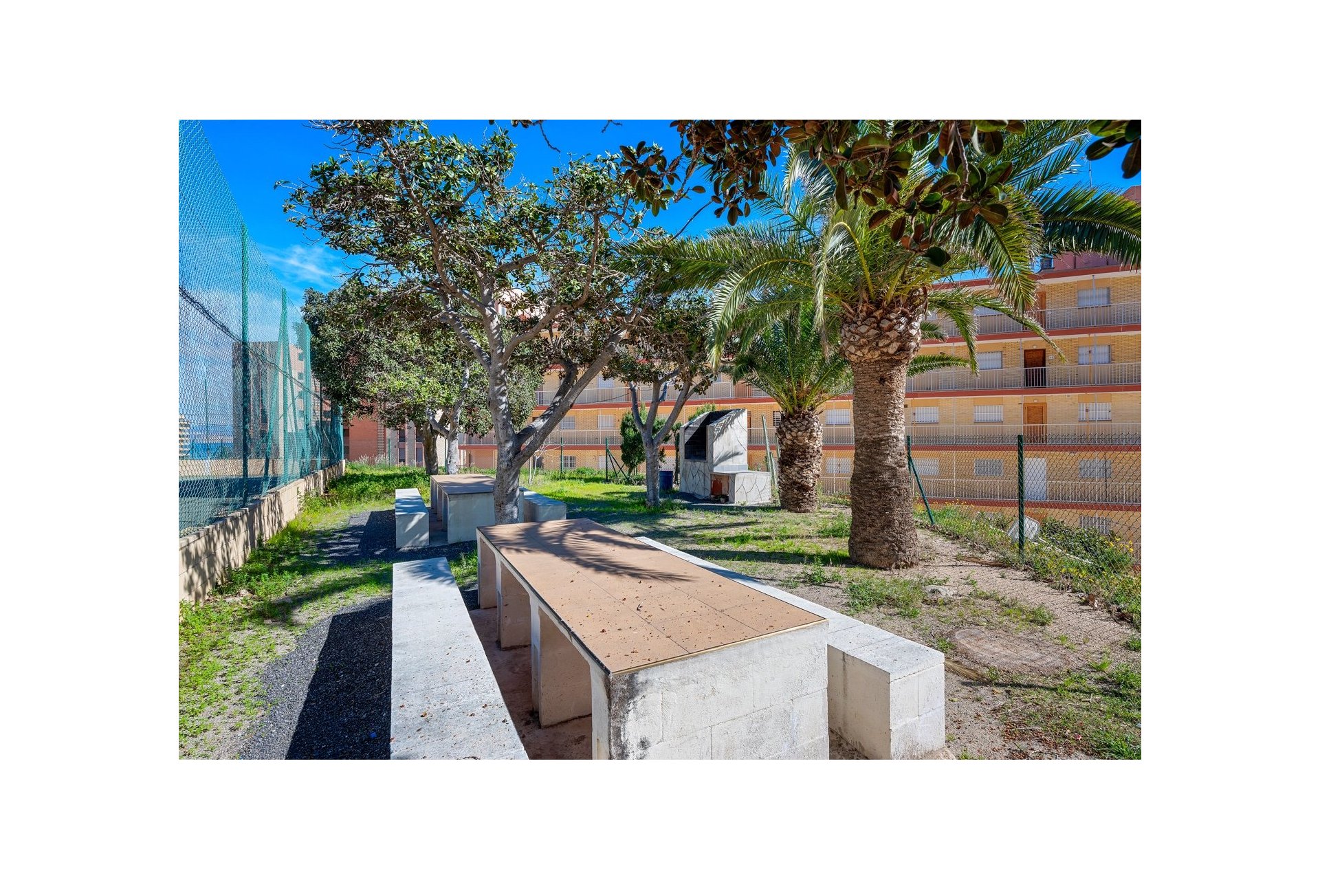 Rynek wtórny - Apartament - Arenales del Sol - Segunda linea playa