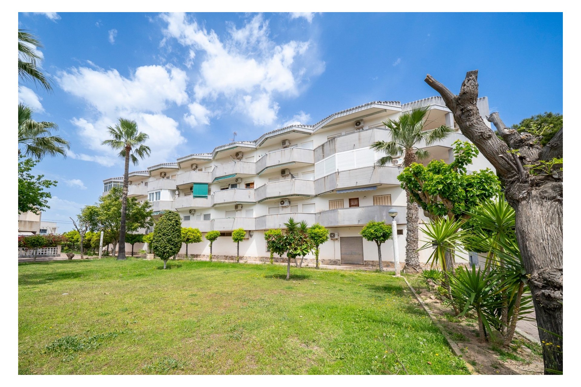 Rynek wtórny - Apartament - Orihuela Costa - Cabo Roig