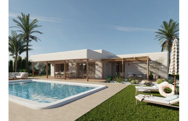 Villa - Obra nueva - Pinoso - Rodriguillo