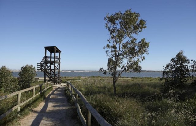Obra nueva - Villa - Torrevieja - Sector 25