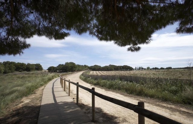 Obra nueva - Villa - Torrevieja - Sector 25