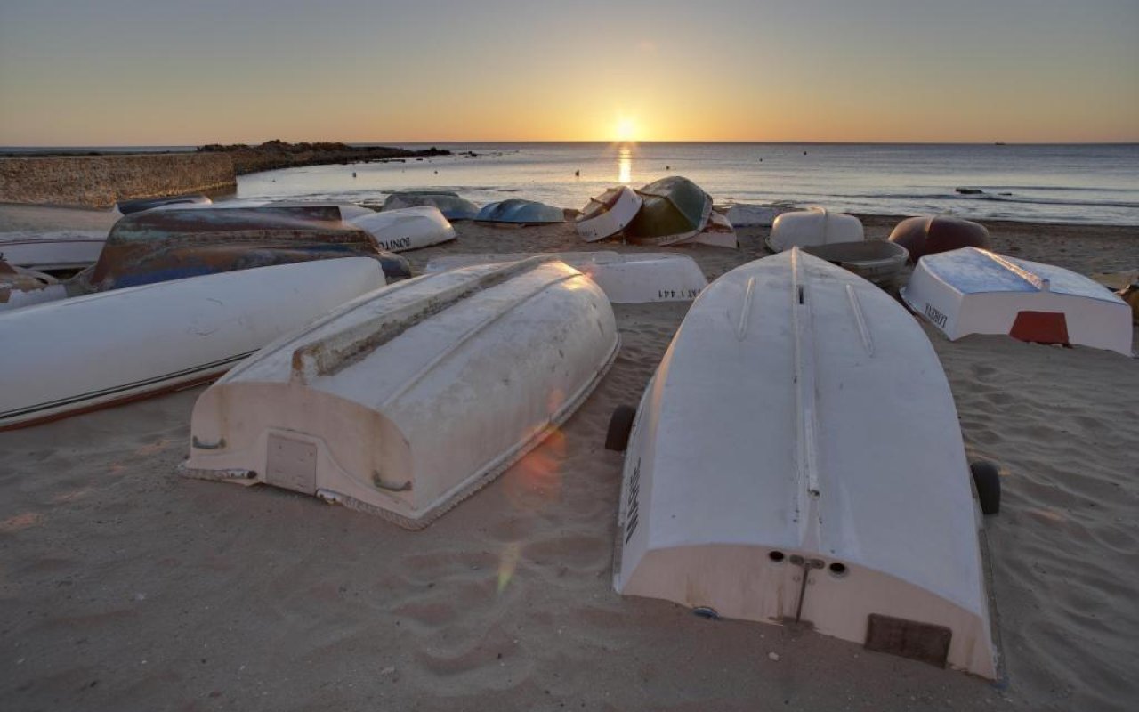 Obra nueva - Villa - Torrevieja - Sector 25