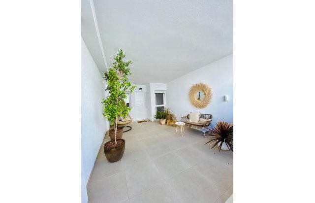 Obra nueva - Bungalow - Pilar de la Horadada - pueblo