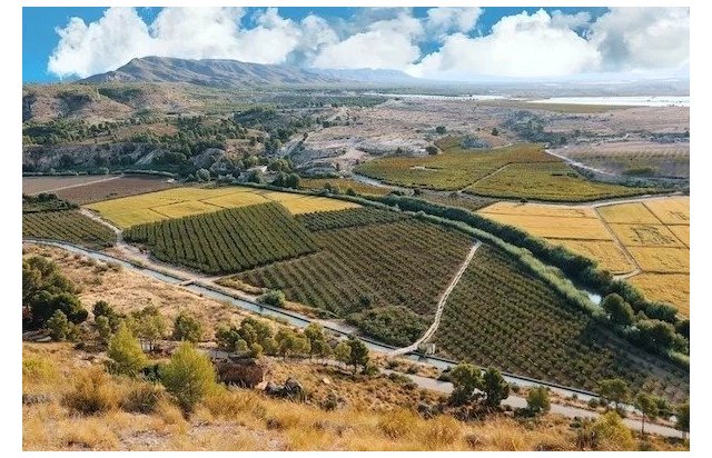 Rynek pierwotny - Villa - Calasparra - Coto riñales