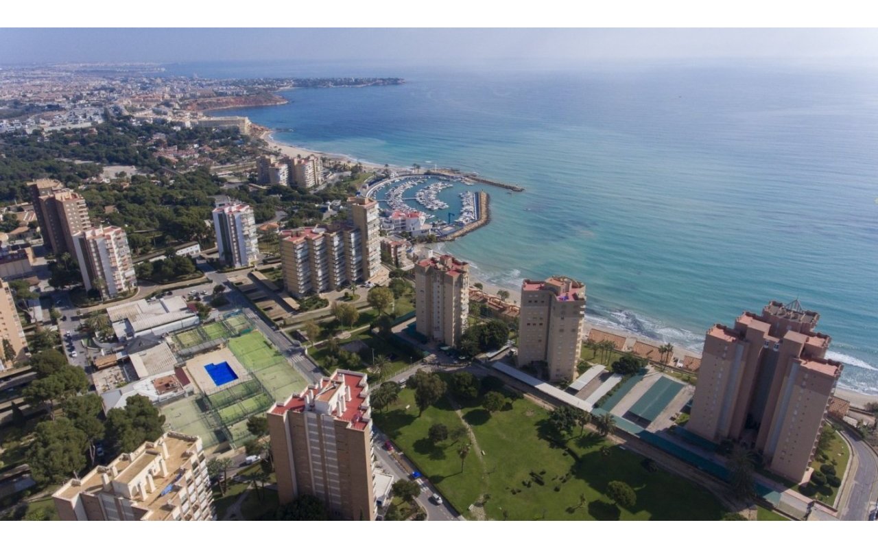 Rynek pierwotny - Apartament - Orihuela Costa - Campoamor
