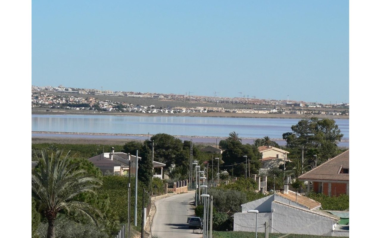 Rynek pierwotny - Villa - Los Montesinos - La herrada