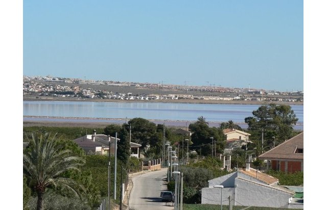 Rynek pierwotny - Villa - Los Montesinos - La herrada