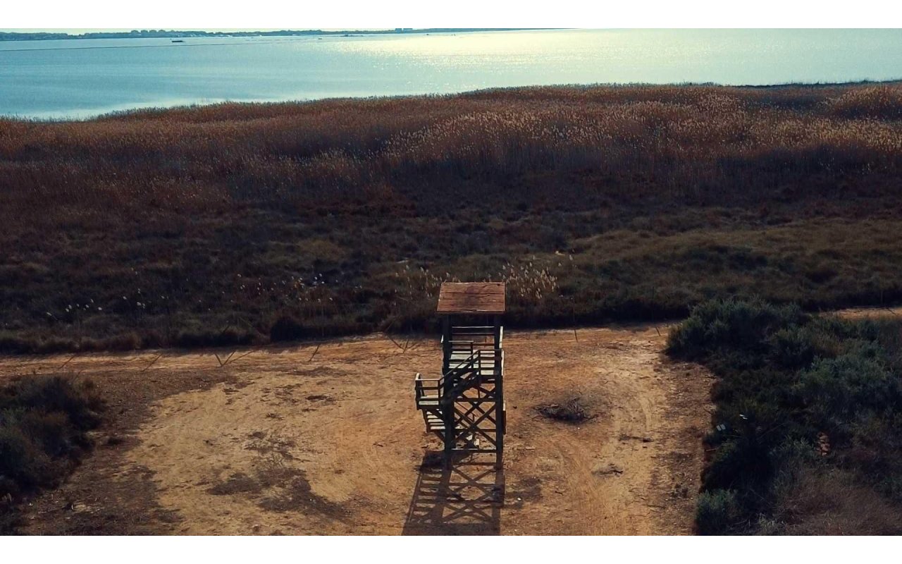 Rynek pierwotny - Villa - Los Montesinos - La herrada