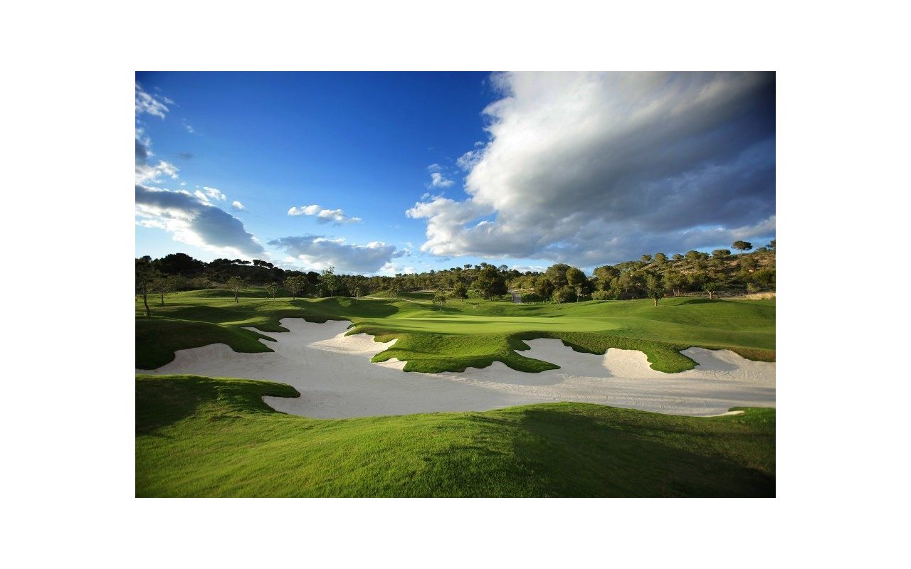 Rynek pierwotny - Daszek - Orihuela - Las Colinas