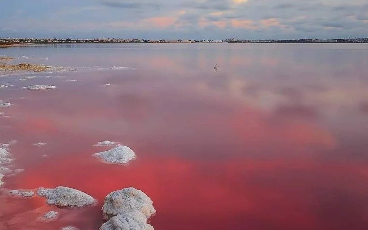 Obra nueva - Villa - Torrevieja - Lago Jardín II
