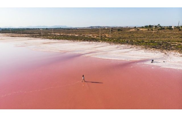 Rynek pierwotny - Daszek - Torrevieja - Habaneras