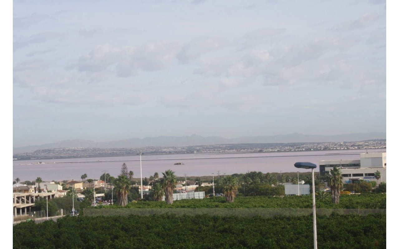 Rynek pierwotny - Town House - Torrevieja - Los Altos