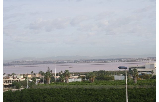 Rynek pierwotny - Town House - Torrevieja - Los Altos