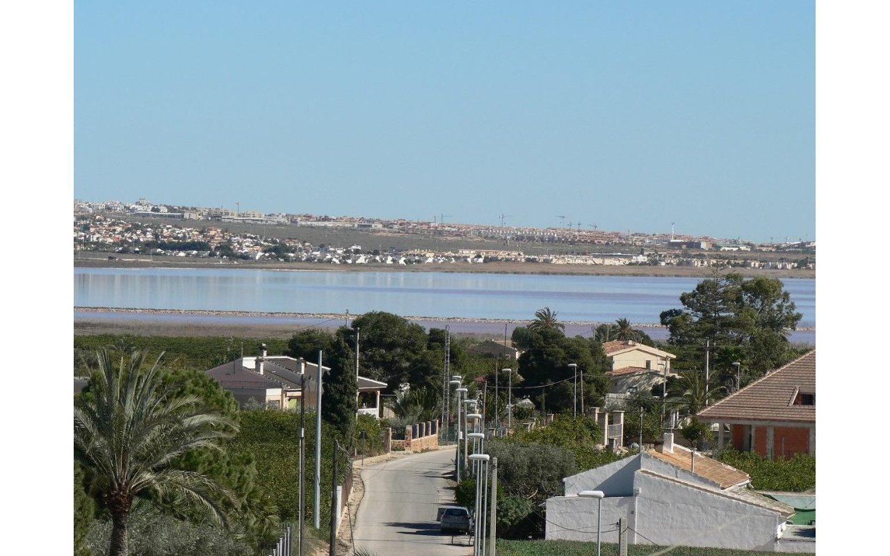 Rynek pierwotny - Villa - Los Montesinos - La herrada