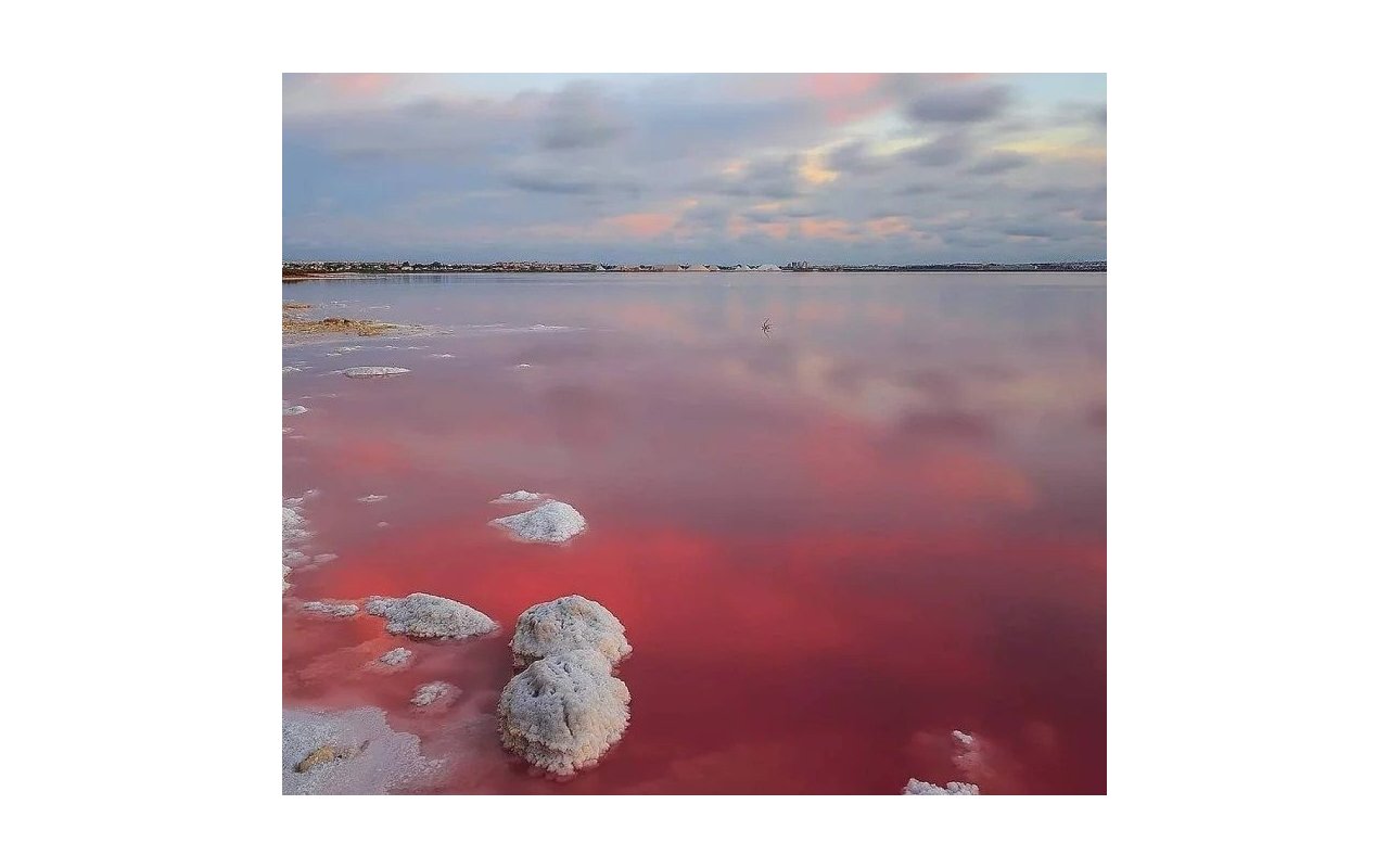 Obra nueva - Bungalow - Torrevieja - Lago Jardín II