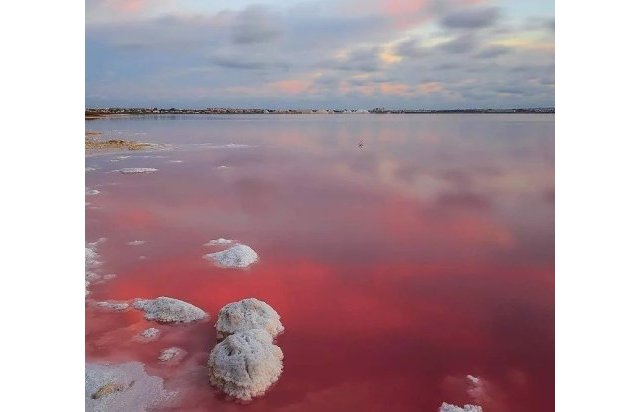 Obra nueva - Bungalow - Torrevieja - Lago Jardín II