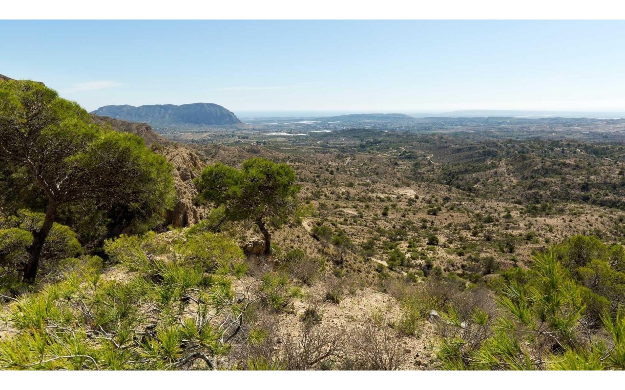 Rynek pierwotny - Villa - Aspe - Centro