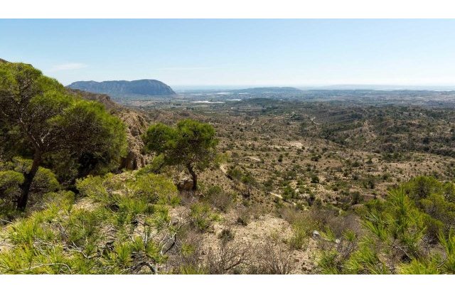 Rynek pierwotny - Villa - Aspe - Centro