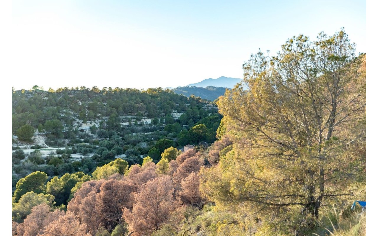 Rynek pierwotny - Apartament - Finestrat - Balcon de finestrat