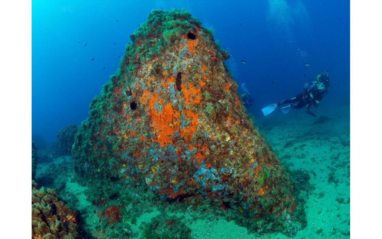 Rynek pierwotny - Daszek - Águilas - Isla del fraile