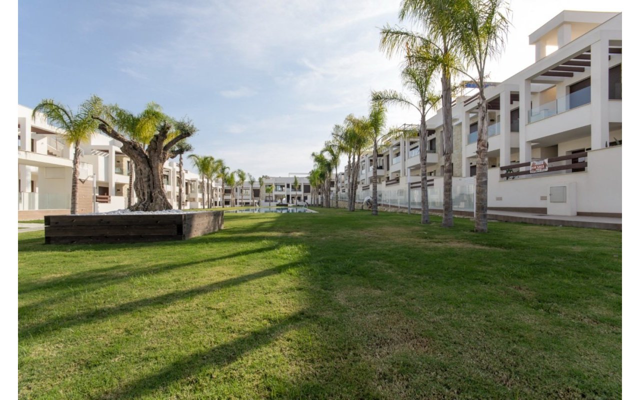 Rynek pierwotny - Bungalow - Torrevieja - Los Balcones