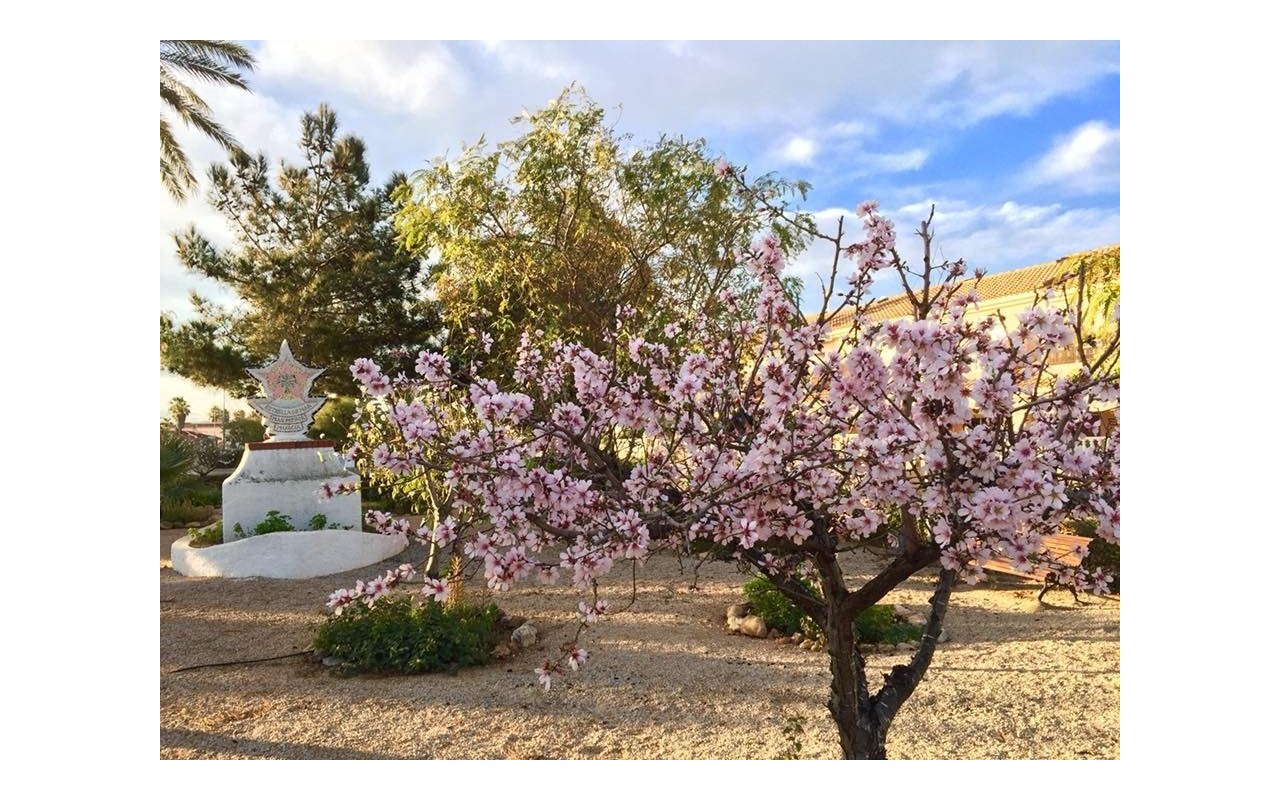 Rynek pierwotny - Villa - LOS URRUTIAS - ESTRELLA DE MAR
