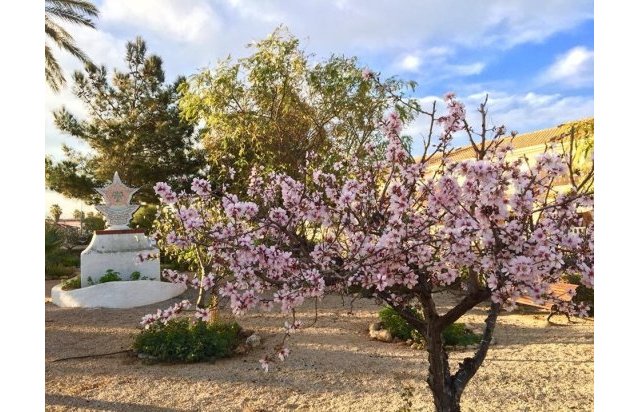 Rynek pierwotny - Villa - LOS URRUTIAS - ESTRELLA DE MAR