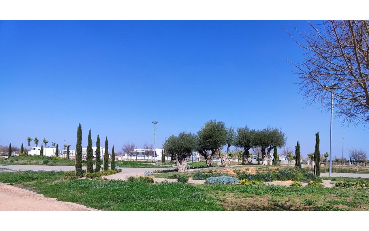 Rynek pierwotny - Apartament - Torre Pacheco - Centro