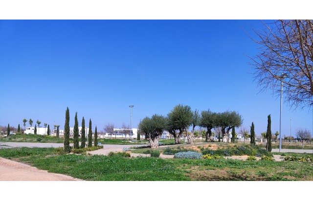 Rynek pierwotny - Apartament - Torre Pacheco - Centro