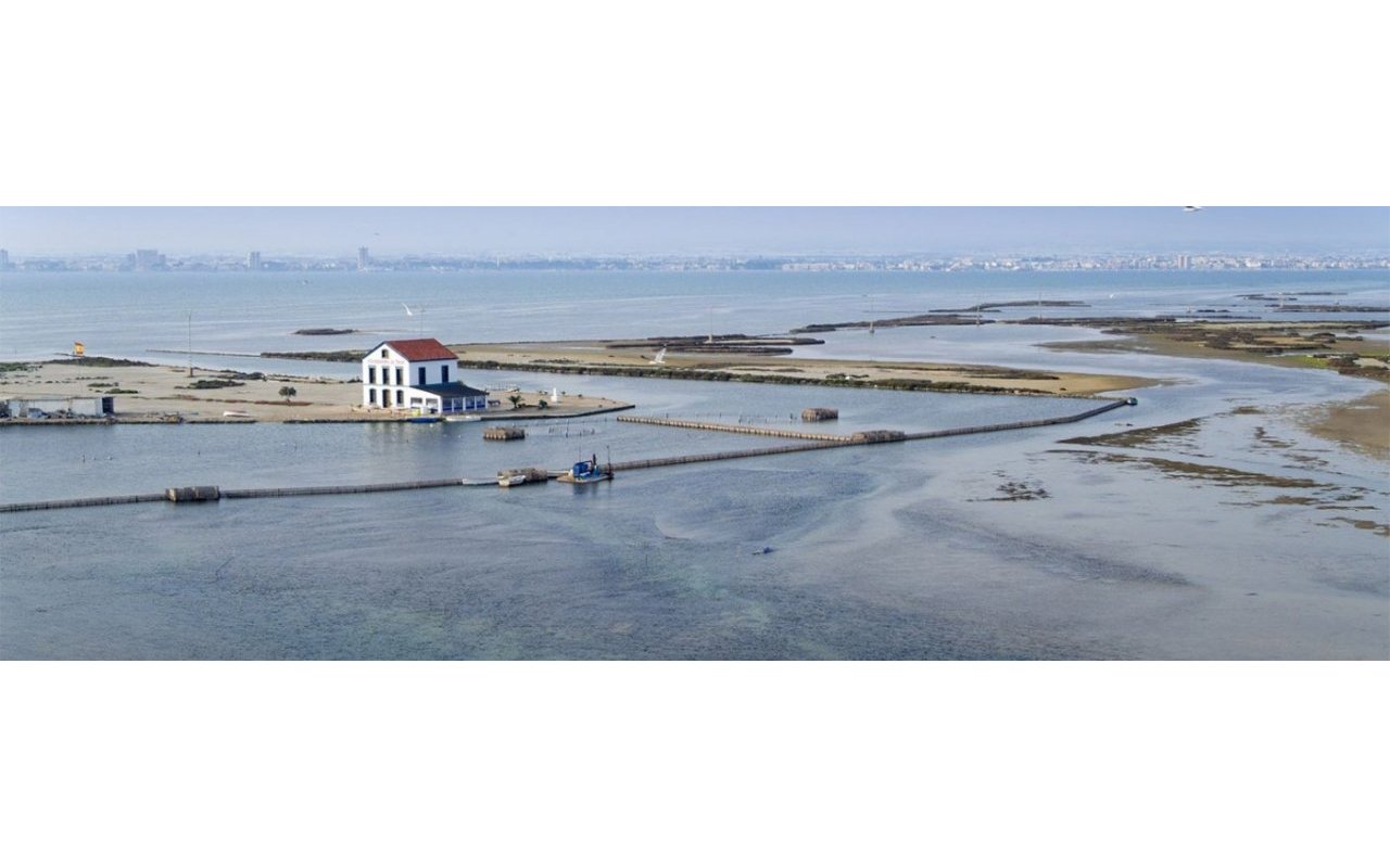 Rynek pierwotny - Villa - San Pedro del Pinatar - El salero