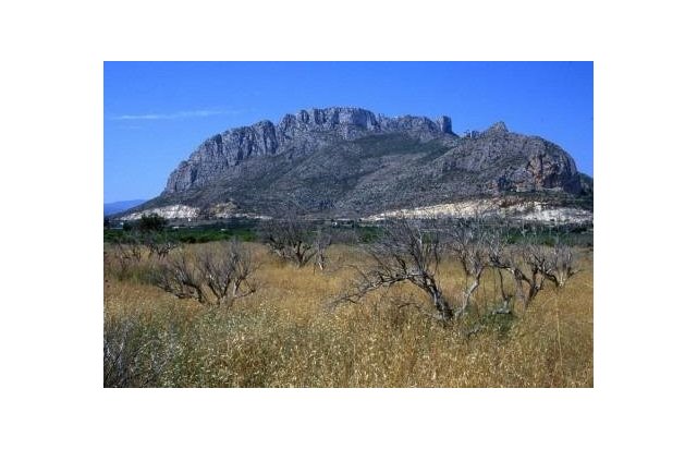 Obra nueva - Ático - El Verger