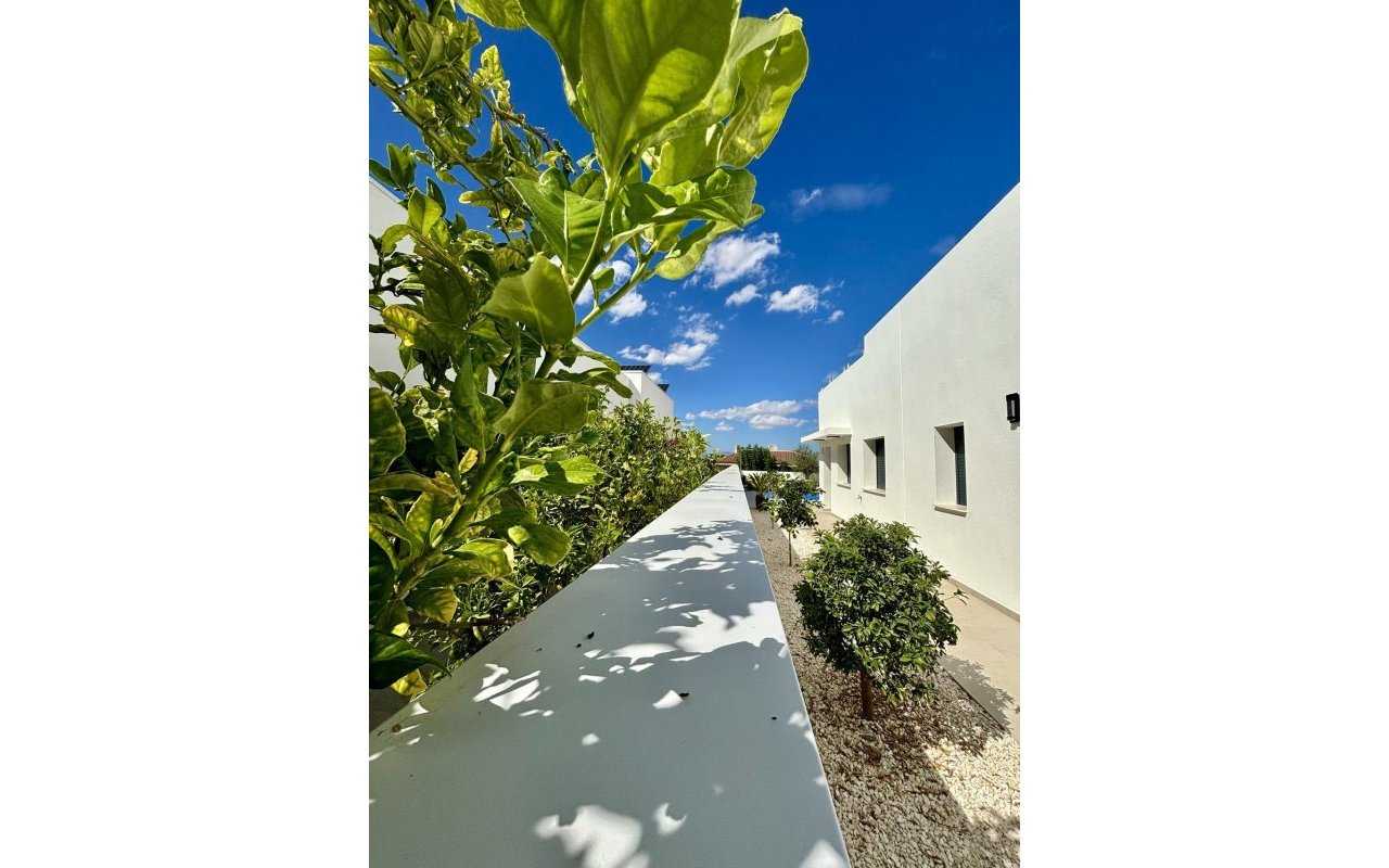 Rynek pierwotny - Villa - Benijofar - Pueblo