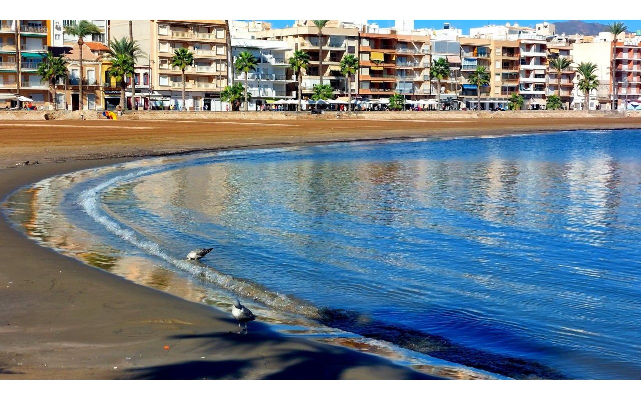 New Build - Villa - Fuente Álamo - La Pinilla