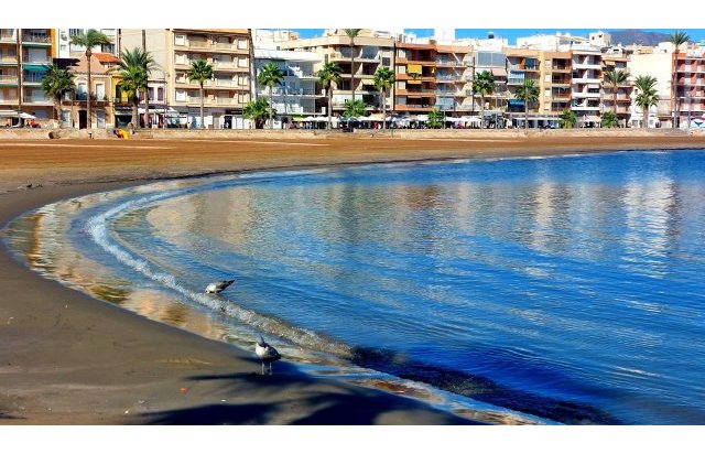 New Build - Villa - Fuente Álamo - La Pinilla