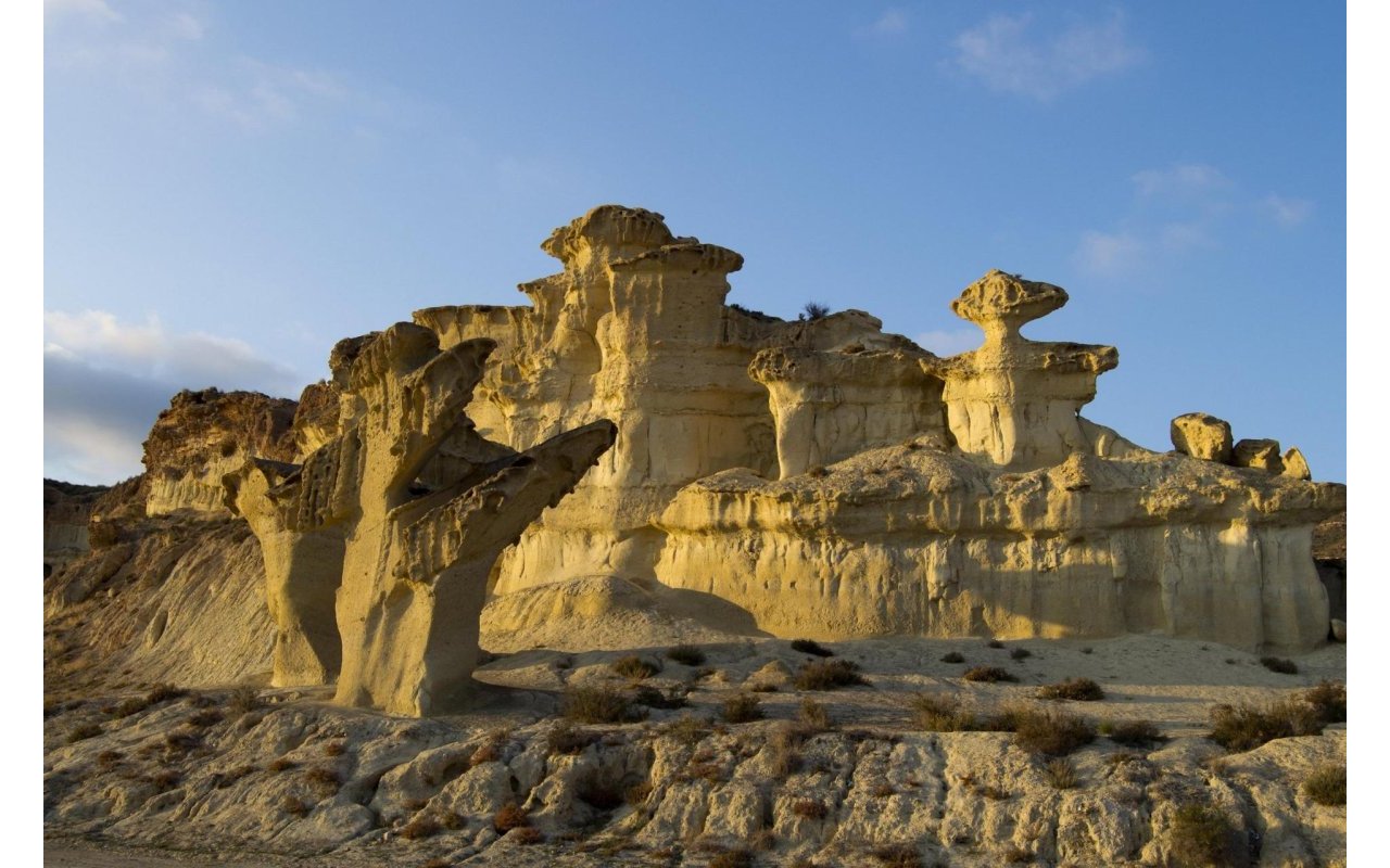 Obra nueva - Bungalow - Fuente Álamo - La Pinilla