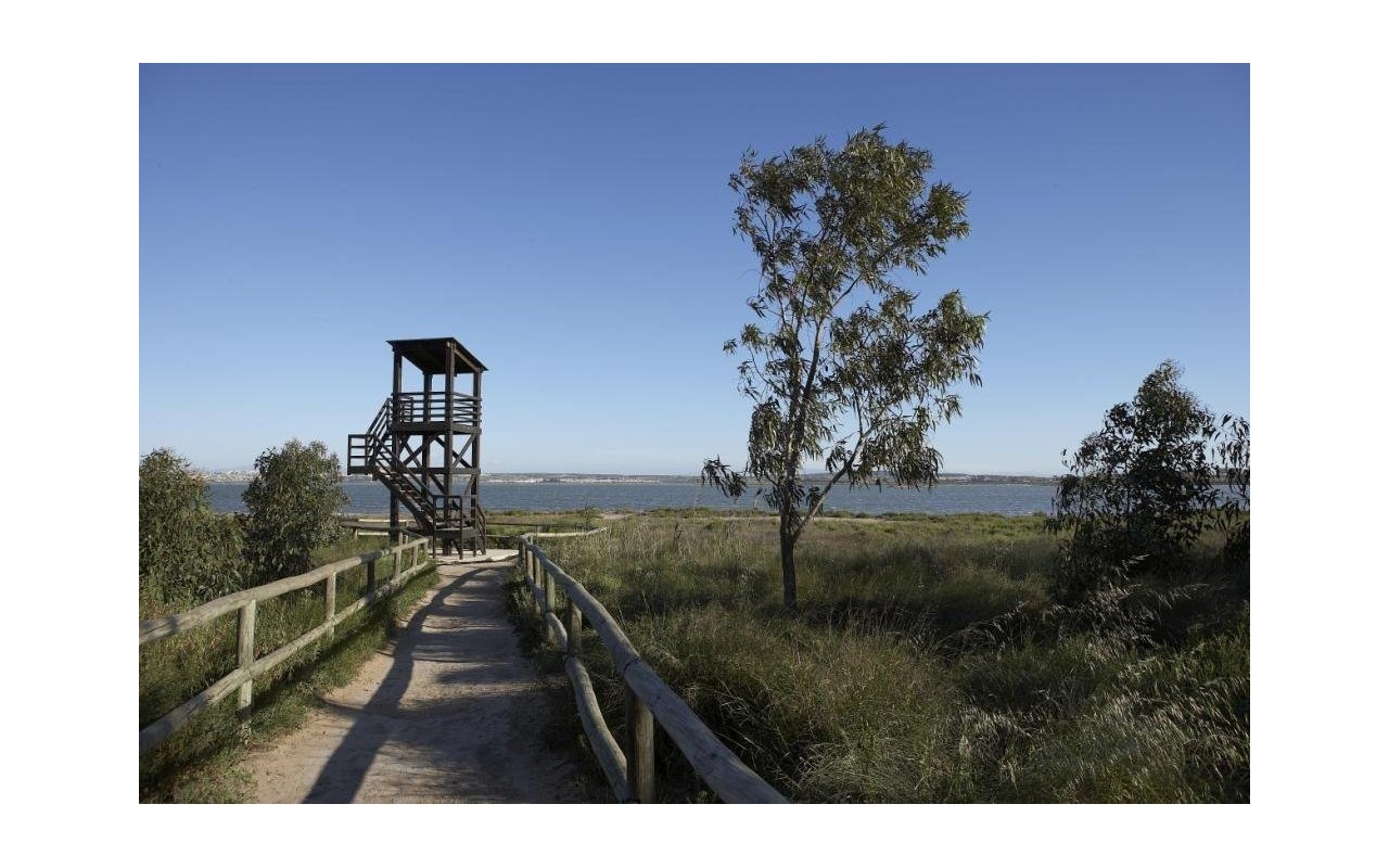 Rynek pierwotny - Villa - Torrevieja - Sector 25