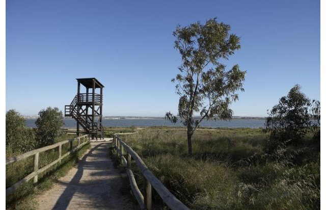 Rynek pierwotny - Villa - Torrevieja - Sector 25