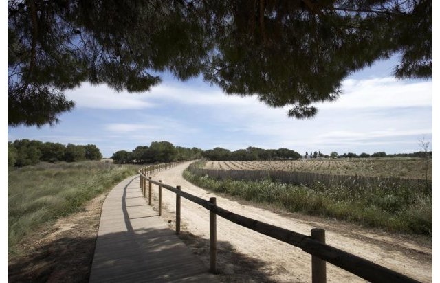 Rynek pierwotny - Villa - Torrevieja - Sector 25