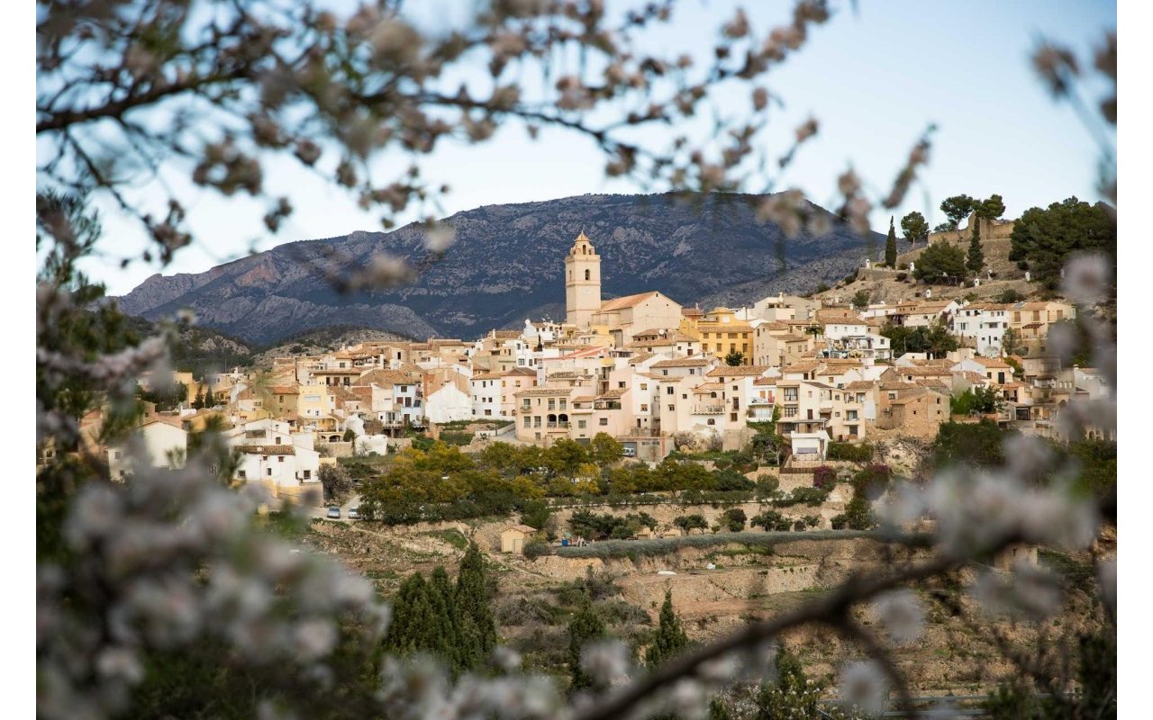 Obra nueva - Villa - Polop - Polop Hills