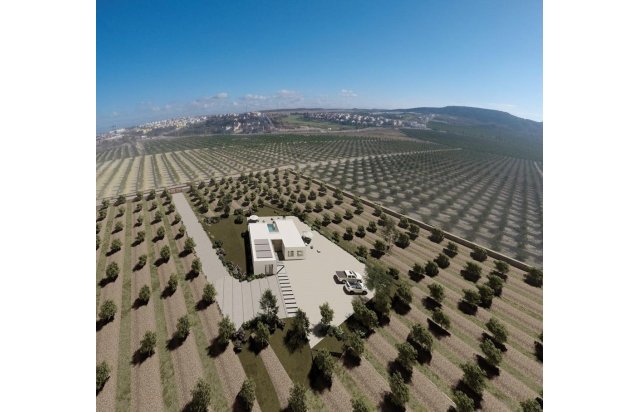 Rynek pierwotny - Villa - Algorfa - Lomas De La Juliana