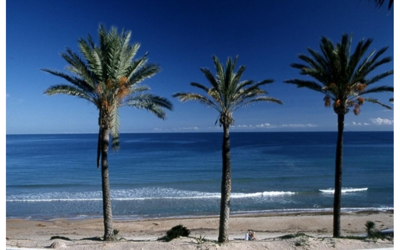 Rynek pierwotny - Bungalow - Pilar de la Horadada - Parque Ramon eugenio Escudero