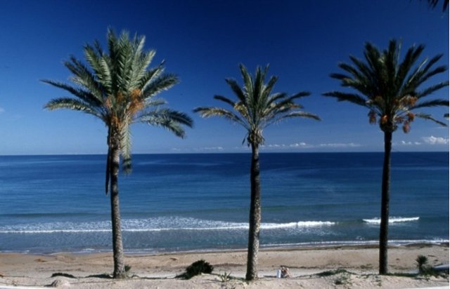 Rynek pierwotny - Bungalow - Pilar de la Horadada - Parque Ramon eugenio Escudero