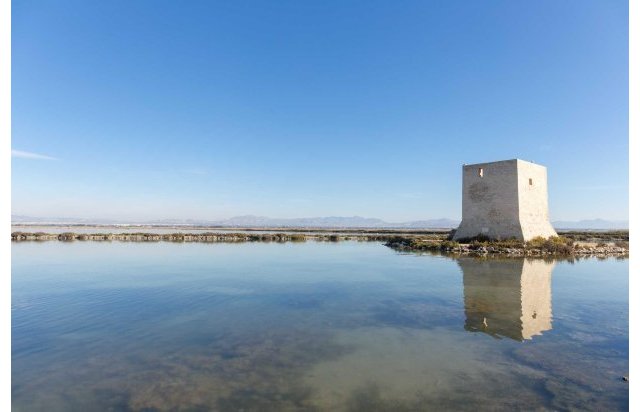Rynek pierwotny - Daszek - Santa Pola - Estacion de autobuses